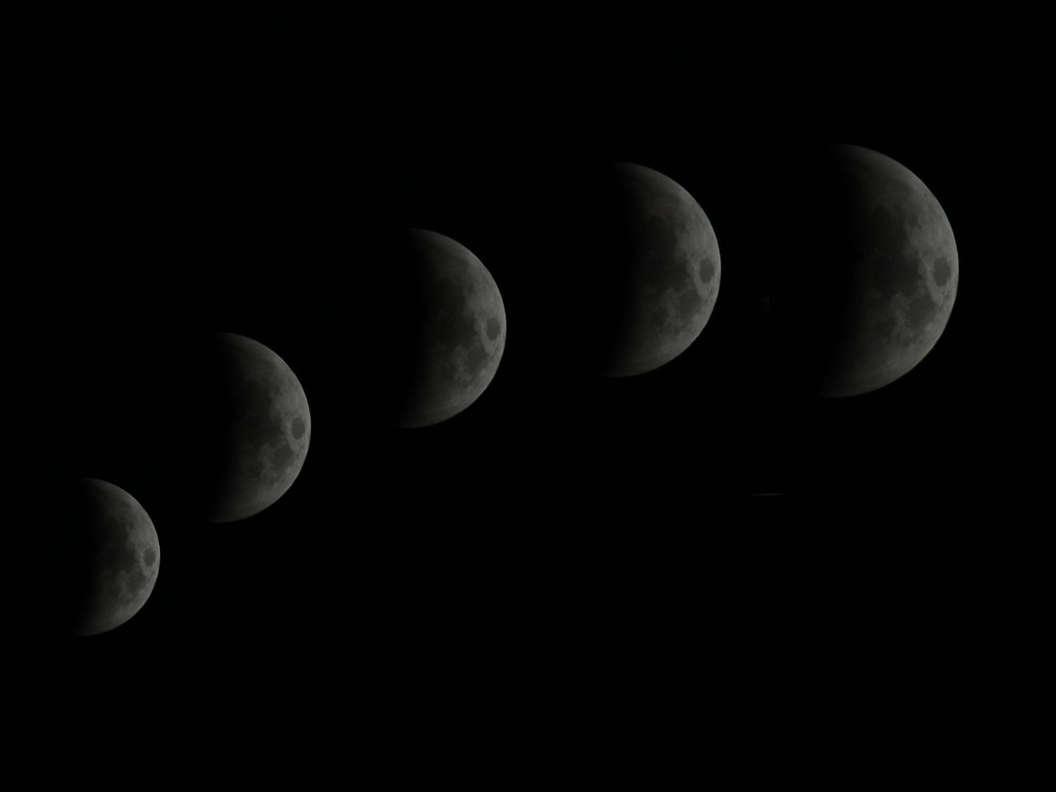 Moon Sign Reading