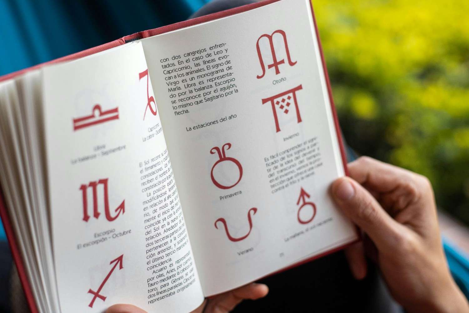 Rising Sign Analysis